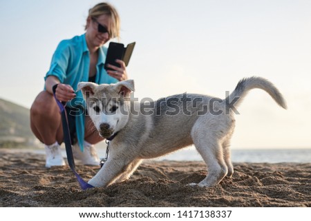 Young pretty blond woman, taking picture on her phone of her small husky puppy. Owner and the light grey dog, playing on the sandy beach at sunset. 