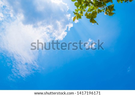 Beautiful Blue Sky Background with White Clouds and Tree. Picture for Summer Season. 