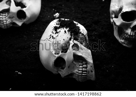Human skulls on black background