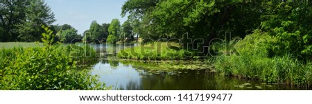 Idyllic biotope in a park  Royalty-Free Stock Photo #1417199477