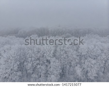 Field and white frozen trees in fog in winter, aerial view from the high altitude
