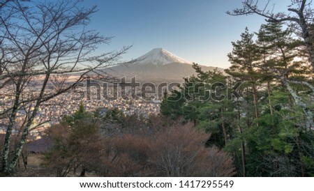 Beautiful view of Mount Fuji with pine trees and cherry trees before blooming at Chureito in Japan.