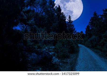 dirt road in the woods with super moon