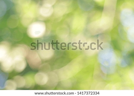 Nature green background image, abstract light of bokeh.