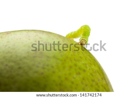 Macro of looper on green pear isolated on white 