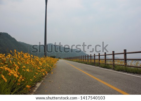 bike-only road with yellow flowers