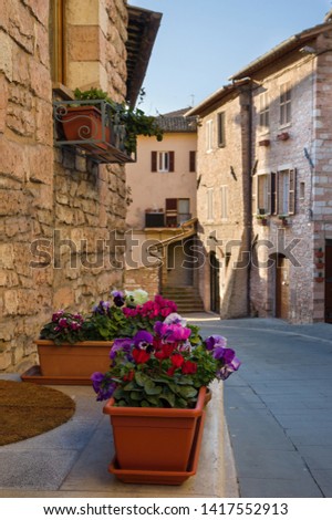 Picturesque street of preserved medieval pilgrimage town Assisi in region Umbria in Italy, birthplace of saint Francis and Clare of Assisi, with old stone houses with flowers in flower pots on walls 