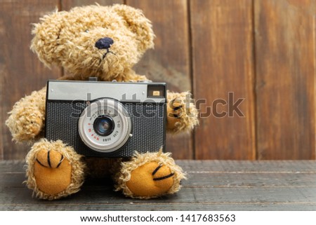 Brown teddy bear holding old retro photo camera on wooden background