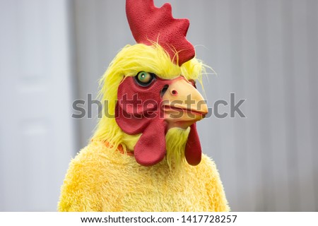 Adult Chicken Mascot Suit Yellow and Red Isolate