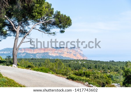 Landscape photo of a paved path with a tree in the foreground and the ocean and a cliff in the background on a sunny afternoon with blue sky. Shot in Calanques d'En Vau, Bouches-du-Rhone, France. 