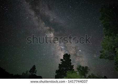 Milky way bordered by pine trees