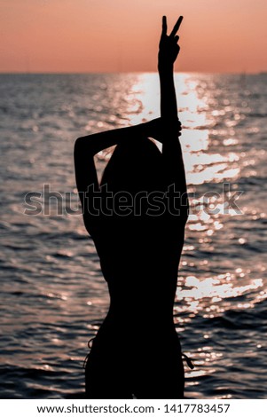 Silhouette group of friend on beach party and wine glass 