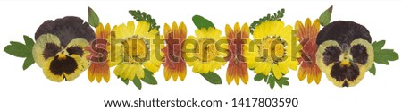 Bouquet of dried pressed flowers isolated on white background. For use in floristics, scrapbooking and herbaria. Rustic, country style.