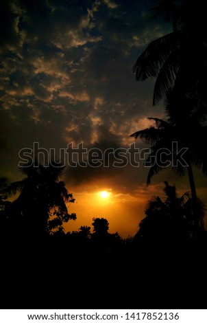 A Very Beautiful Sunset with a Very Beautiful Coconut Tree. 