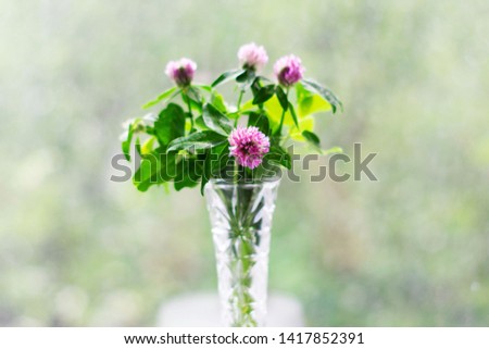 Bouquet of clover in a vase on bokeh background with a pattern of sunlight. St.Patrick 's Day.