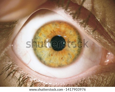 Close-up photo of human eye