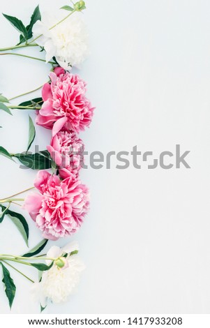 Frame made of pink and white peonies flower on white background with space for text. Flat lay, top view. Frame of flowers.