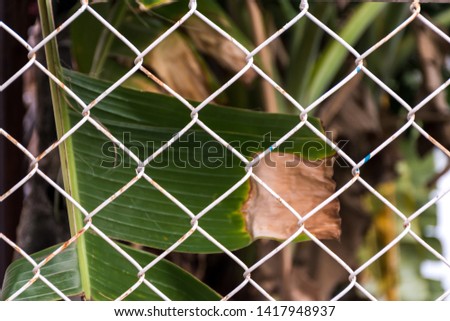 white mesh rustic metal fence and green natural leaf and garden on background