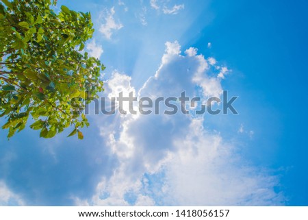Beautiful Blue Sky Background with Sun, White Clouds and Tree. Picture for Summer Season.