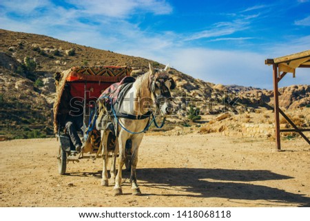 travel around Middle East photography of Arabic cab with horse in dry desert scenic natural landscape environment waiting for a customer 