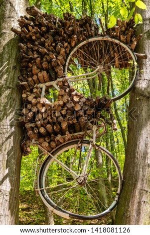 Antique bicycle hanging in a tree 