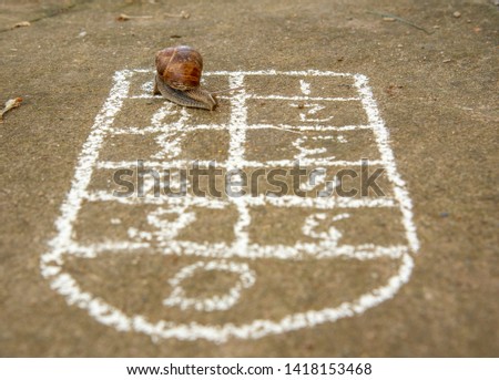 A series of photos "One day in the life of snails".Grape snail plays a children's game of Classics.
