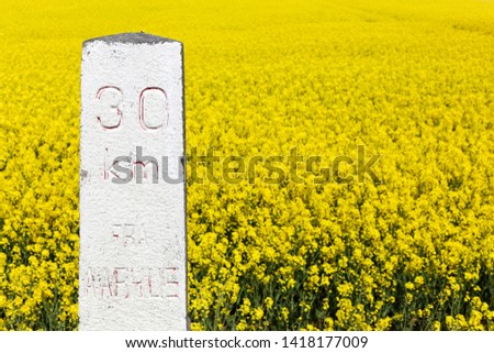 Milestone 30 kilometers from Aarhus with rapeseed field in background, Denmark