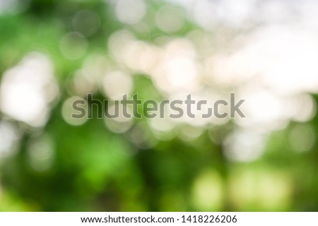 abstract bokeh blur nature green color for background