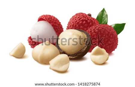 Macadamia nuts and litchi or lychee fruit isolated on white background. Package design element with clipping path