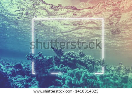 Neon light frame glowing underwater behind coral reef. Duotone creative background with free space inside