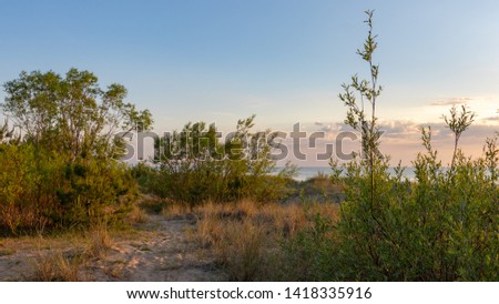 Wonderful landscape with sea shore dunes in the evening sunlight. Clouds over the sea are colored in soft pink colors.