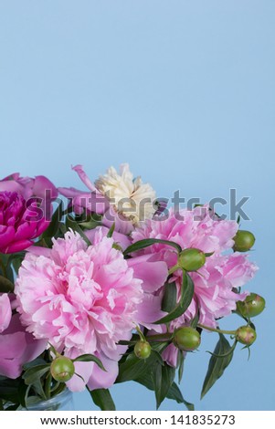 bouquet of peonies on a blue background