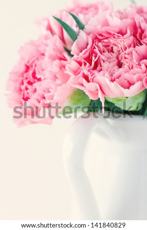 Closeup of pink carnations on light shabby chic background