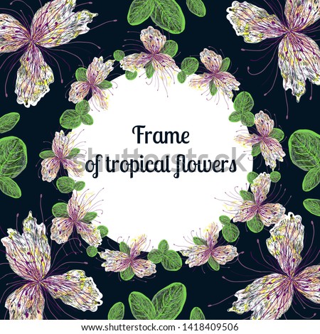 Tropical flower themed frame on
 the dark background. Frame for design greeting
 cards, decorating interiors, cosmetics and textile. 