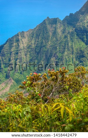 Kalalau Lookout, Kauai, Hawaii. A superb  view into the heart of the Kalalau Valley one of the most photographed and well recognized valleys in all of Hawaii featured in many movies and TV shows.