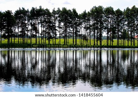 View of the trees reflected in the water from the side of the Mir Castle, Mir, Belarus