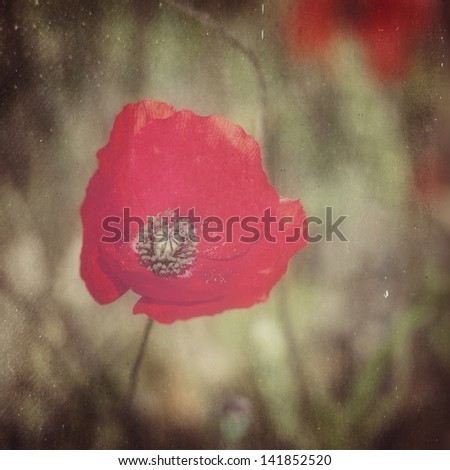 Textured poppy picture