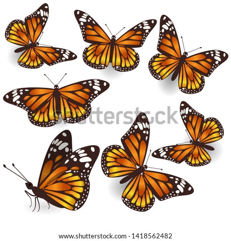 Vector Orange Butterflies Illustration Set