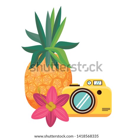 summer beach and vacation with pineapple, photographic camera icon cartoons vector illustration graphic design