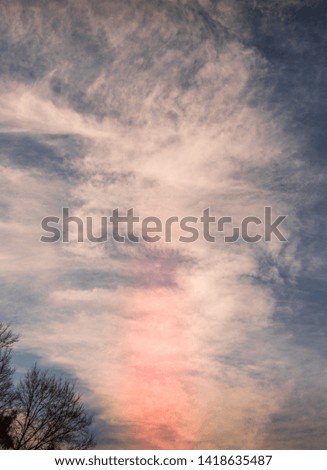 Dramatic cloudscape with the silhouetted top of a tree image with copy space in portrait format