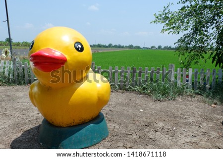 duck cartoon model at rice field