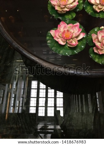 decorative ceramic pond with pink lotus flowers and reflection of architecture ceiling. 