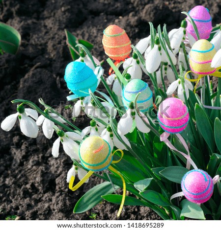 Snow-white snowdrops and decorative eggs on a spring background. Easter composition.