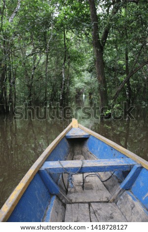 A boat in the The Amazonas river in Colombia. 