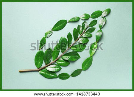 Creative layout. Ecology logo. Organic green leaf made of leaves. Flat lay. Eco friendly planet and sustainable environment concept. Think green, eat clean.