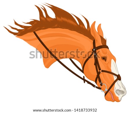 Chestnut horse in bridle with a snaffle bit and Mexican noseband. Stallion craned its neck forward, laid ears back. Head of a steed with a blaze face marking. Vector clip art for equestrian goods.