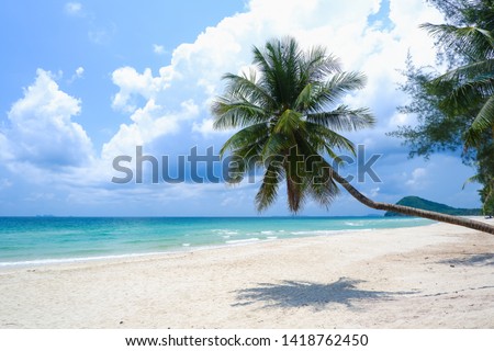 Coconut tree or palm tree at Thung Wua Laen Beach in Chomphon province Thailand, viewpoint of tropical beach seaside and blue sky Royalty-Free Stock Photo #1418762450