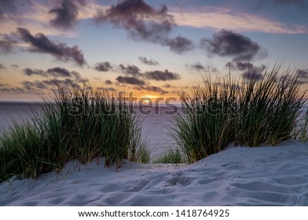 sunset sand dunes beach ocean Texel Netherlands