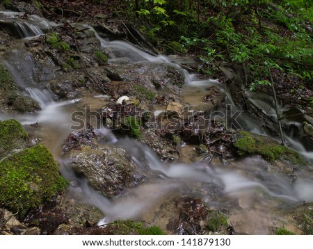 Running water in the forest