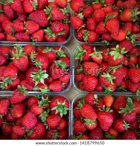 Macro Photo of strawberry berry food. Texture pattern background of ripe juicy red strawberries. Image berries fresh strawberries